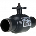 065N0142R RJIP Premium Кран шаровой WW DN100 PN25 GF (приварной, под привод, С/П), Ридан