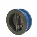 065B7498 Клапан обратный пружинный NVD Danfoss 895 Ду=100 Ру=16